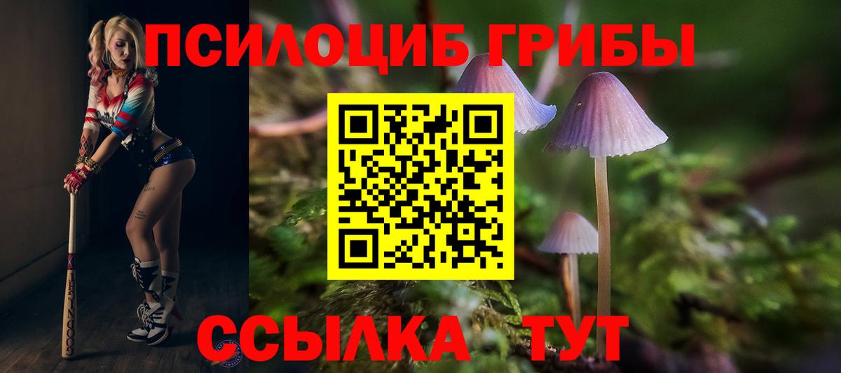 Можга  Галлюциногенные грибы прущие грибы  Вход с VPN 